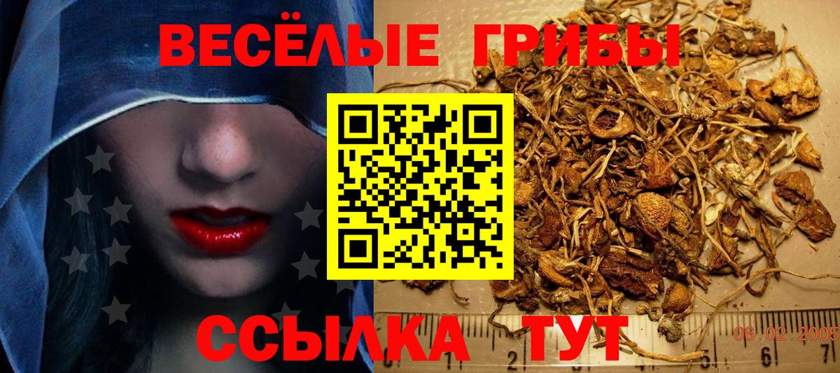 Галлюциногенные грибы прущие грибы  Вход с VPN  Новочеркасск  Псилоцибиновые грибы мухоморы 