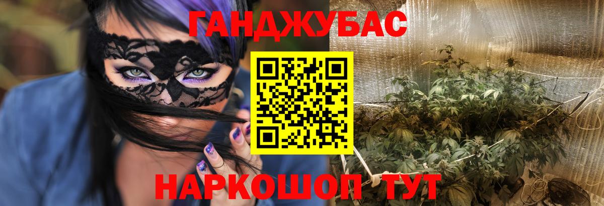 Канабис план Новочеркасск